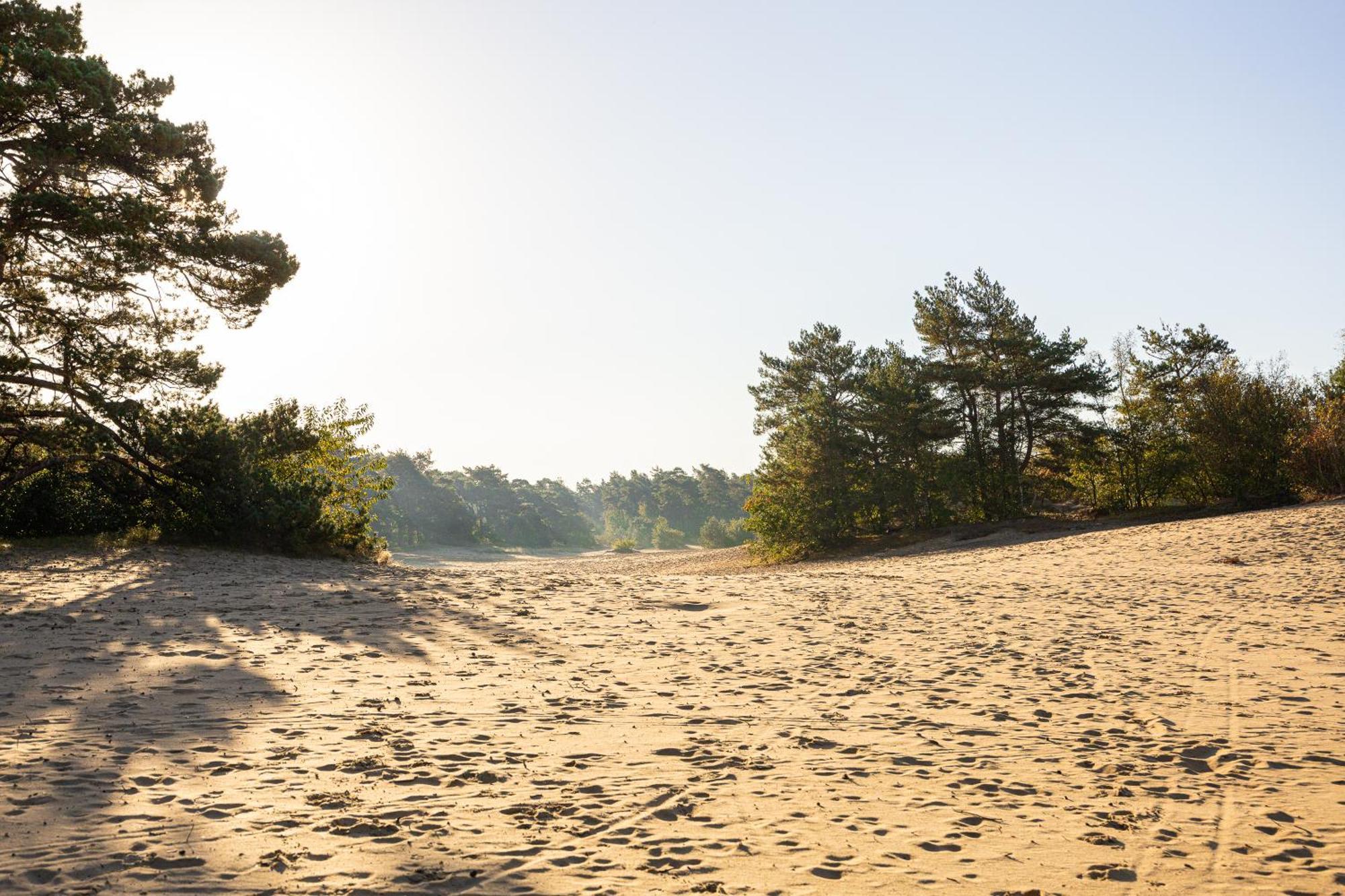 Vakantiehuis Veluws Genieten Met Whirlpool En Sauna Doornspijk Esterno foto